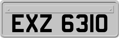EXZ6310