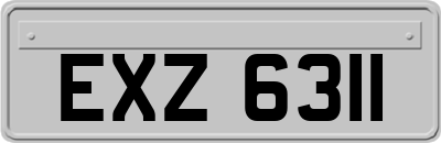 EXZ6311