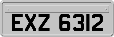EXZ6312