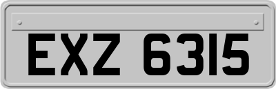 EXZ6315