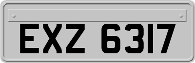 EXZ6317