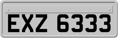 EXZ6333