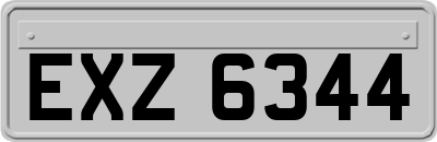 EXZ6344