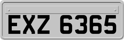 EXZ6365