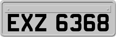 EXZ6368
