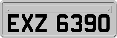 EXZ6390