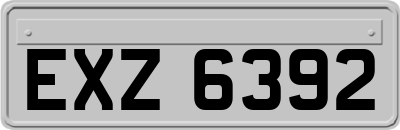 EXZ6392