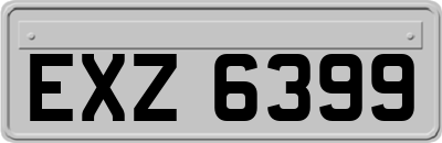 EXZ6399