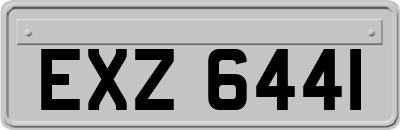 EXZ6441