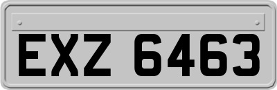 EXZ6463