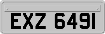 EXZ6491