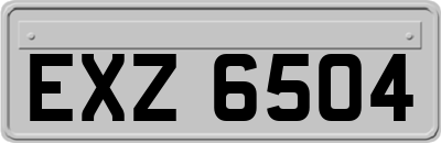 EXZ6504