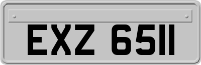 EXZ6511