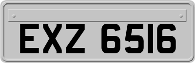 EXZ6516