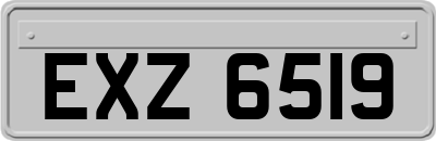 EXZ6519
