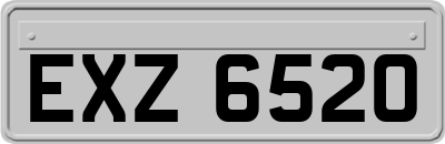 EXZ6520