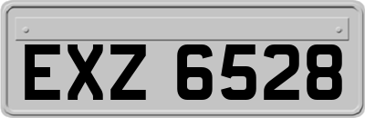 EXZ6528