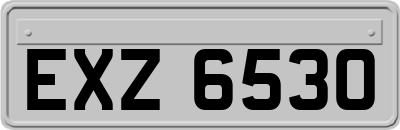 EXZ6530