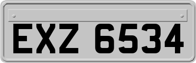 EXZ6534