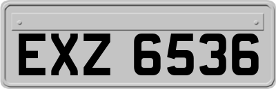 EXZ6536