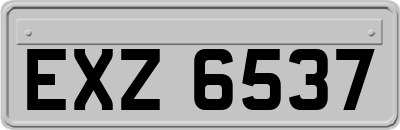 EXZ6537
