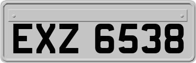 EXZ6538