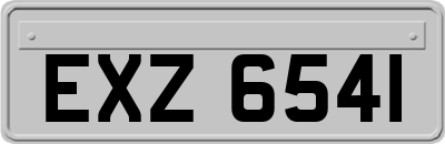 EXZ6541