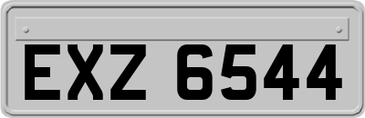 EXZ6544