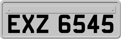 EXZ6545