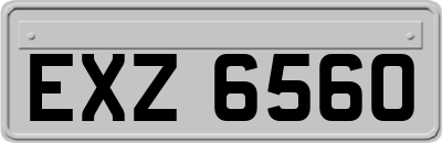 EXZ6560