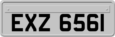 EXZ6561