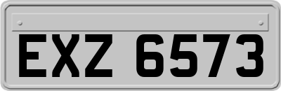 EXZ6573