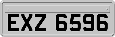 EXZ6596