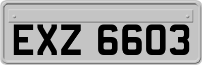 EXZ6603