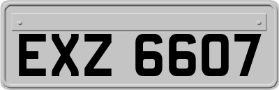 EXZ6607