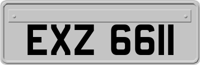 EXZ6611