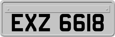 EXZ6618