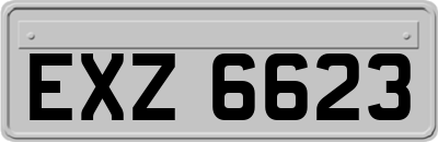 EXZ6623