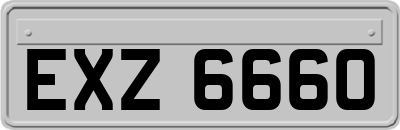 EXZ6660