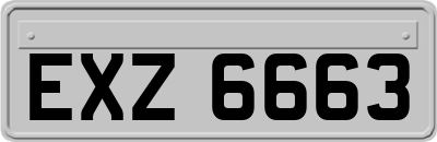 EXZ6663