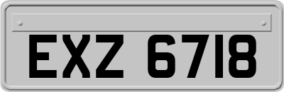 EXZ6718