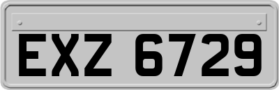 EXZ6729