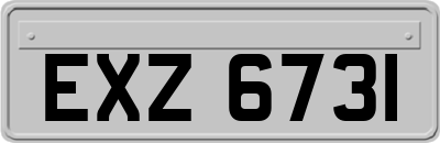 EXZ6731