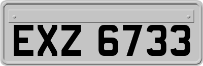 EXZ6733