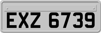 EXZ6739