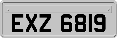 EXZ6819