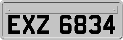 EXZ6834