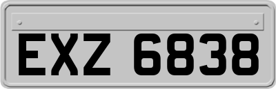 EXZ6838