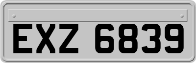 EXZ6839