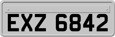EXZ6842